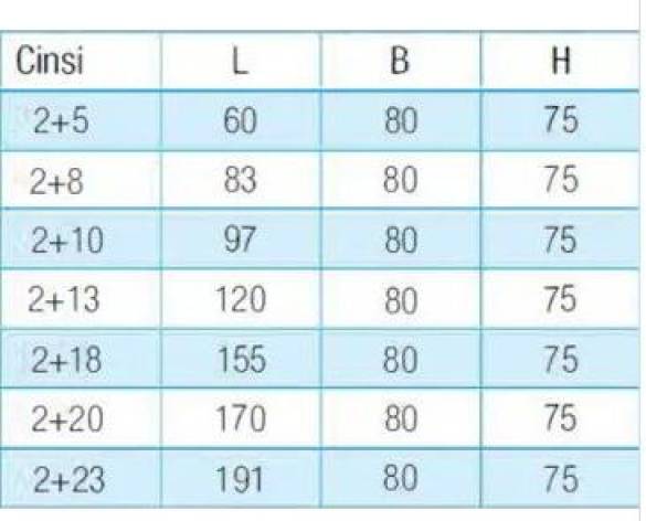 4 Kutuplu Dağıtım Ünitesi 2+8 (6,5x9 mm 80A.) - 1